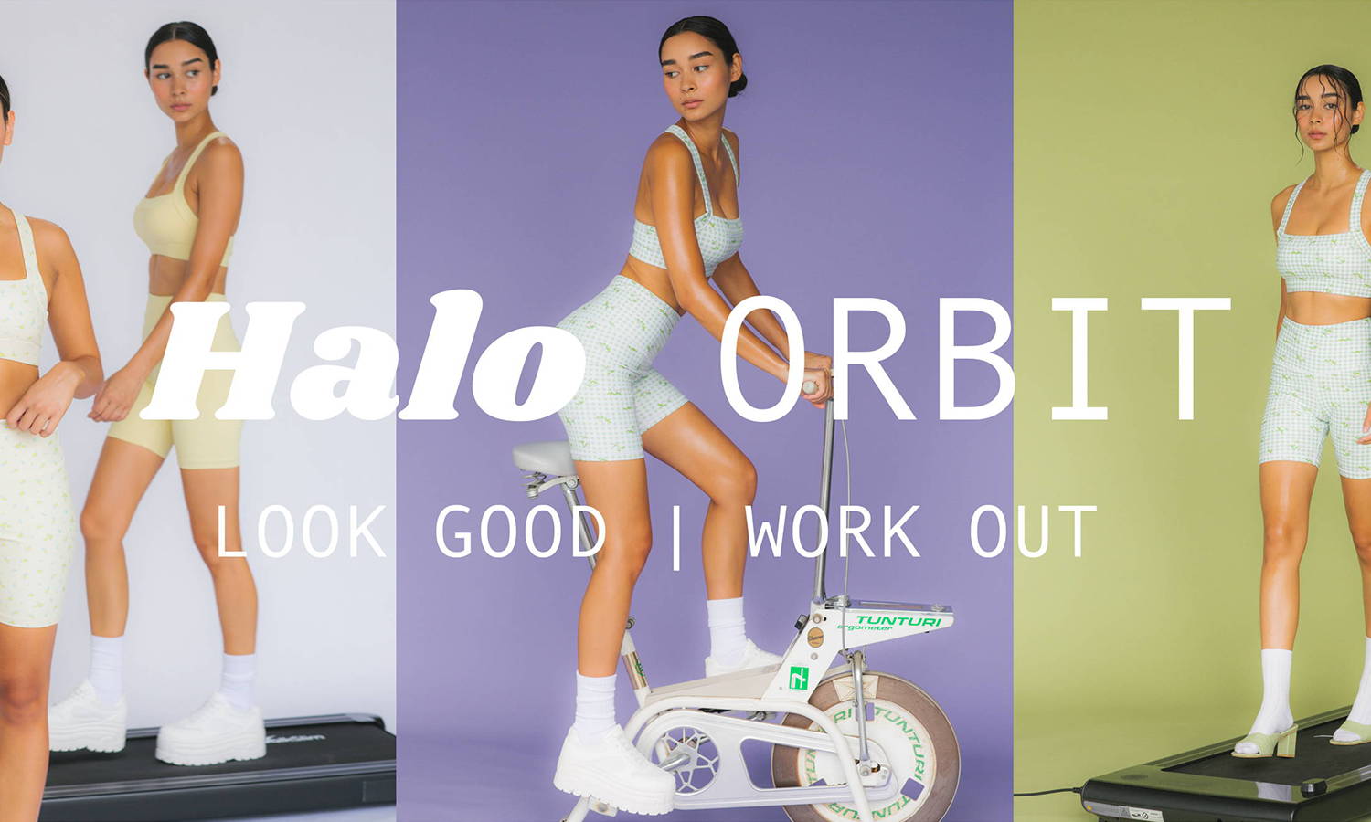 The Halo Orbit Campaign